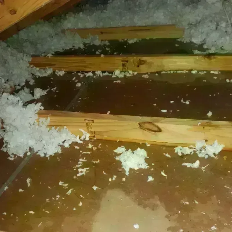 Attic Water Damage in Tularosa, NM